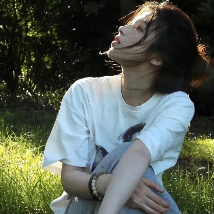 鲨鱼鳍